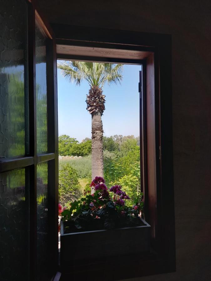 Casa Callinos Bed & Breakfast Selcuk Exterior photo